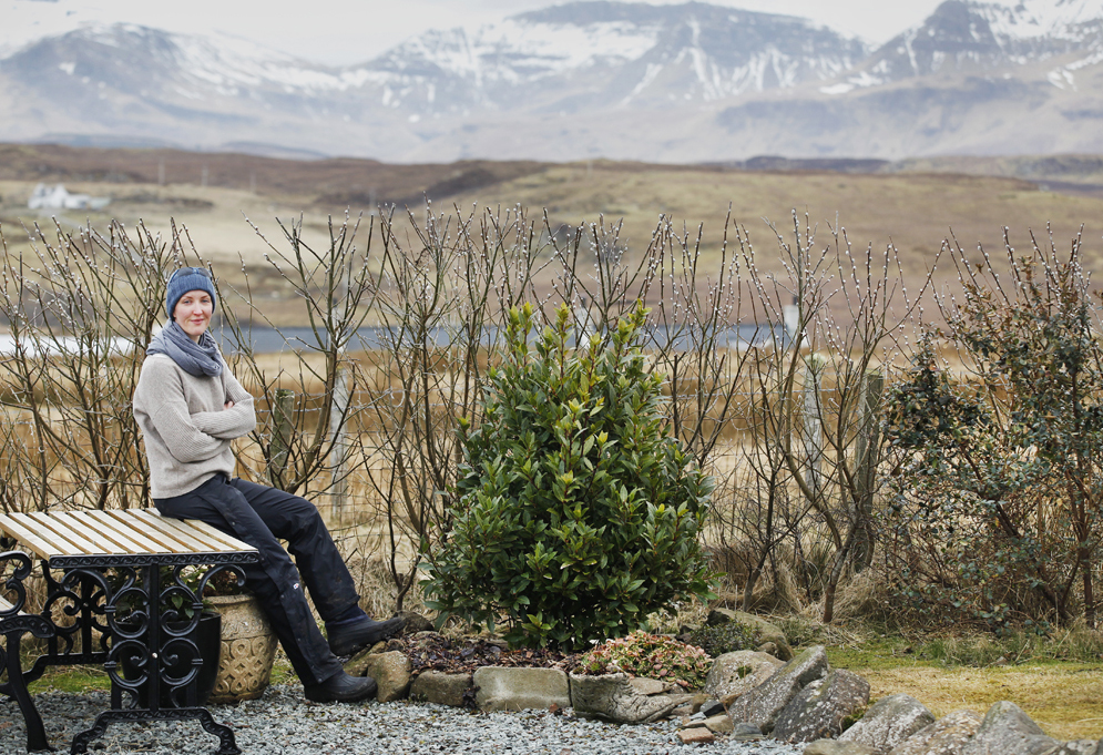 Bay tree small cropped