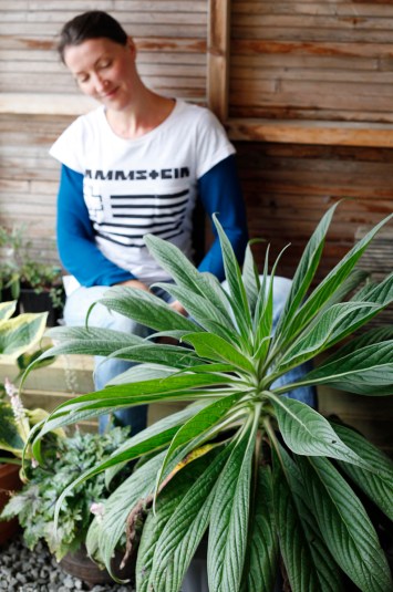 Me and Echium Aug 2018